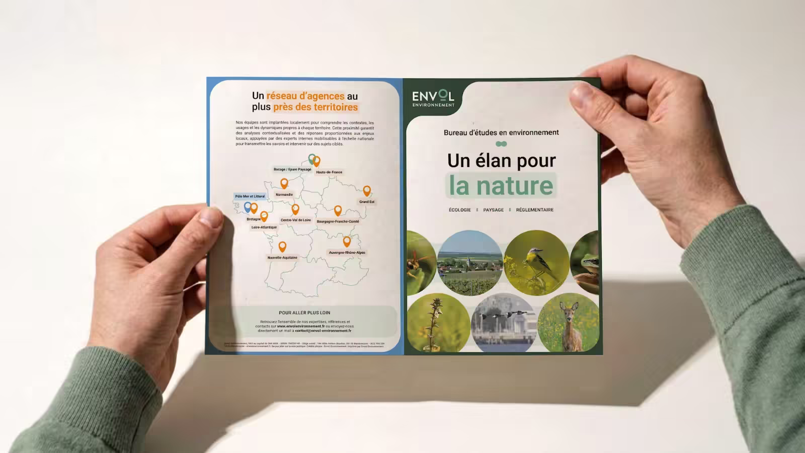 Identité visuelle